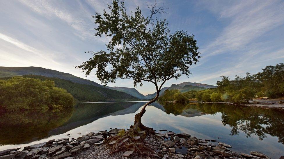 mount-snowdon-plastic.