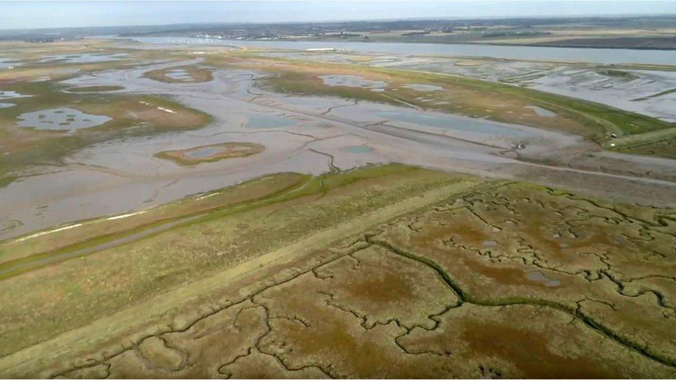 Low tide