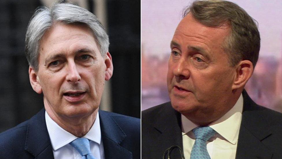 Philip Hammond and Liam Fox