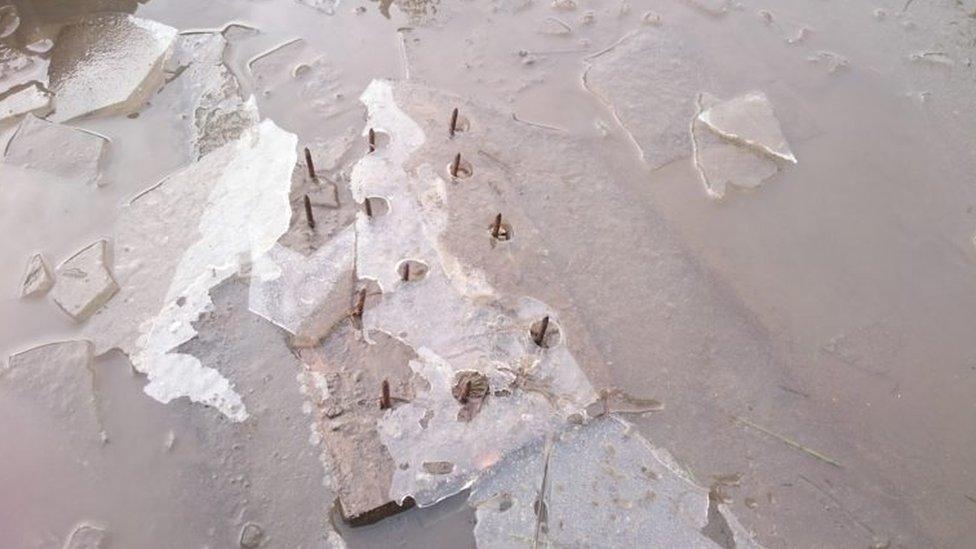 Stinger-style trap found in puddle