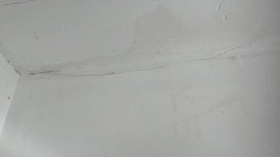 Rat urine stains on the bedroom ceiling