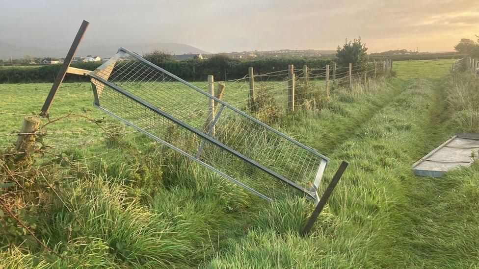 cow feeder lifted by wind in kilkeel