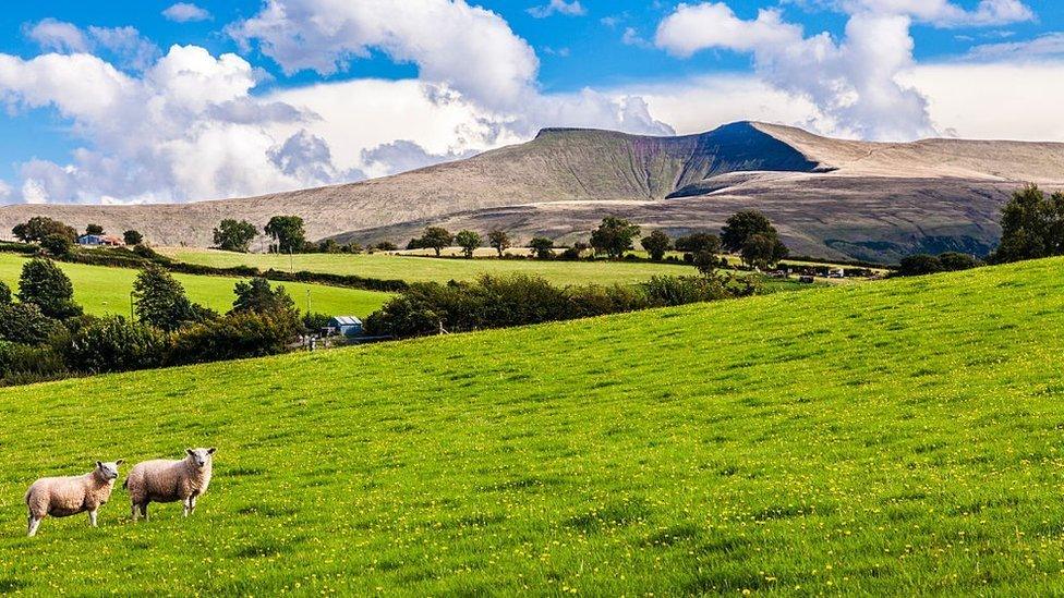 View towards Pen y Fan and Corn Du in the Bannau Brycheiniog National Park