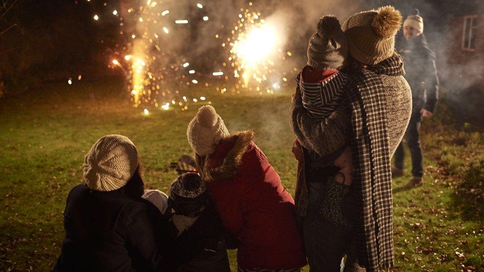 Family watch firework display