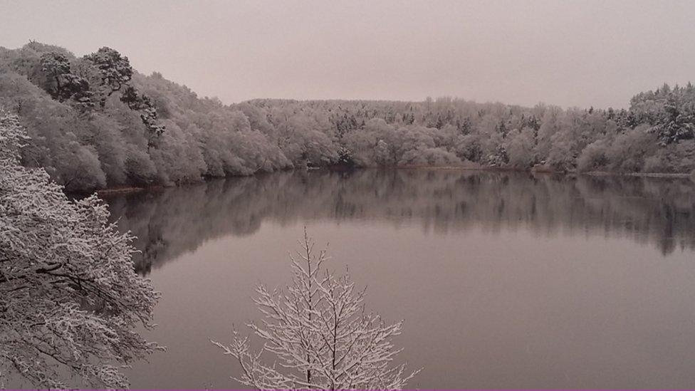 Snow at the Haining in Selkirk