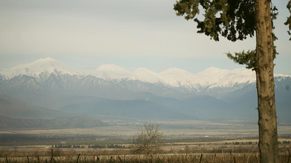 Georgia's Kakheti wine region