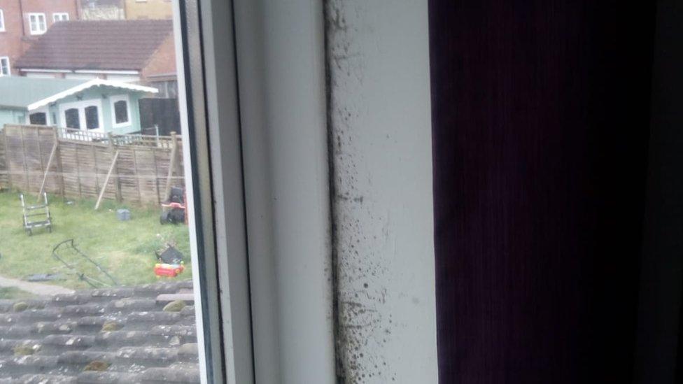 A mouldy window