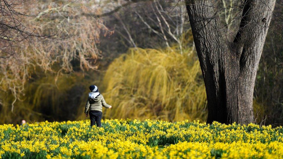 boy-in-flowers