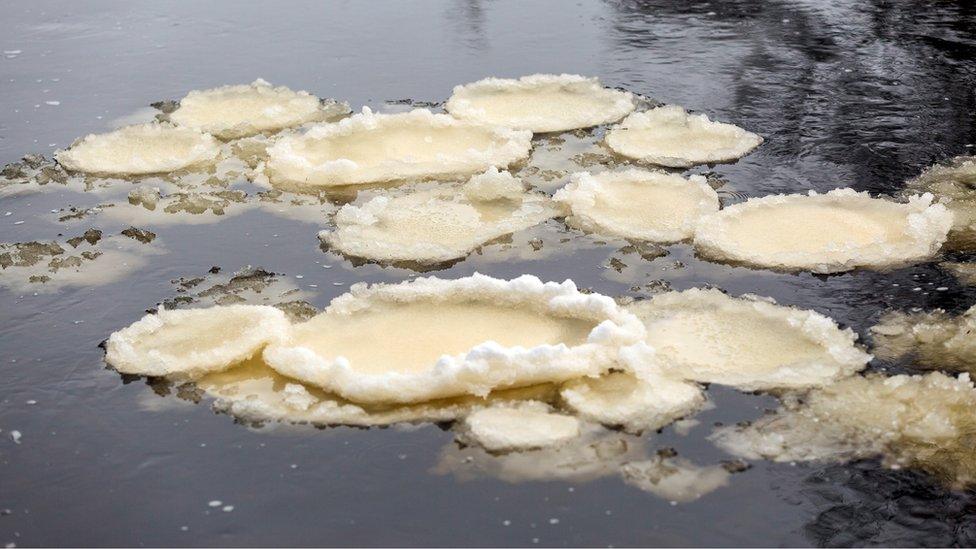 Ice pancakes on the River Swale