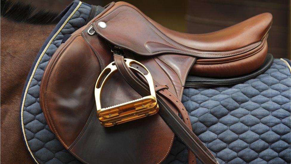 Leather saddle