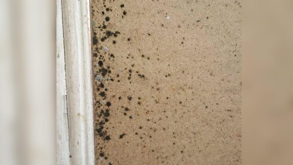 Pictures of damp and mould in a ForHousing property on Newgate Drive in Little Hulton, Salford.