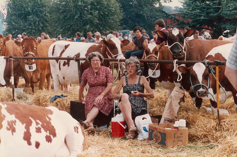 Two women sit on hay bales and eat food whilst surrounded by cows