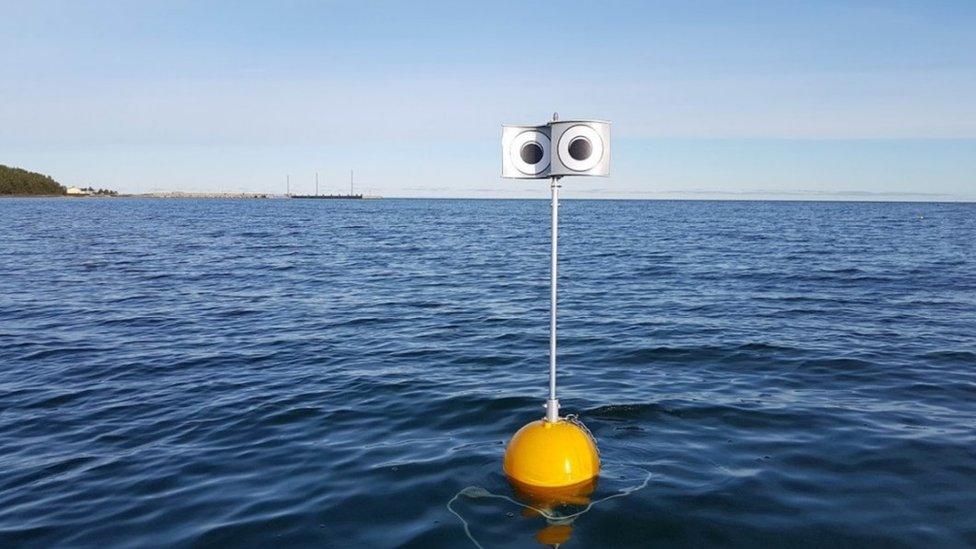 googly eyed buoy in the sea