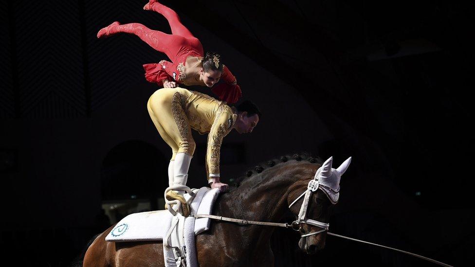 A man and woman balance on top of a horse