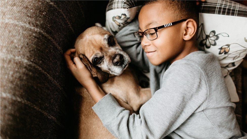 Boy cuddling a dog