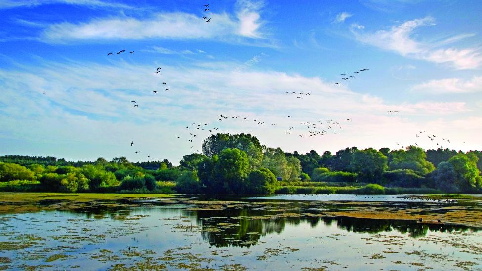 Lackford Lakes