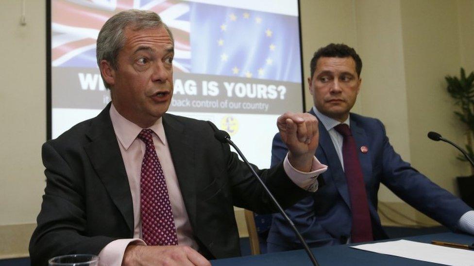 Nigel Farage and Steven Woolfe