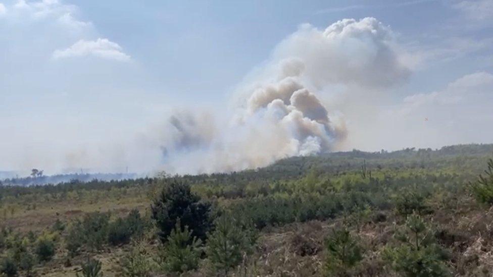 The blaze near Henley Park in Pirbright covered more than 10km