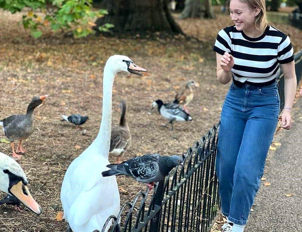 Rita meets a swan