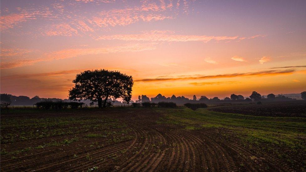 Saharan dust makes creates a bright sunrise.