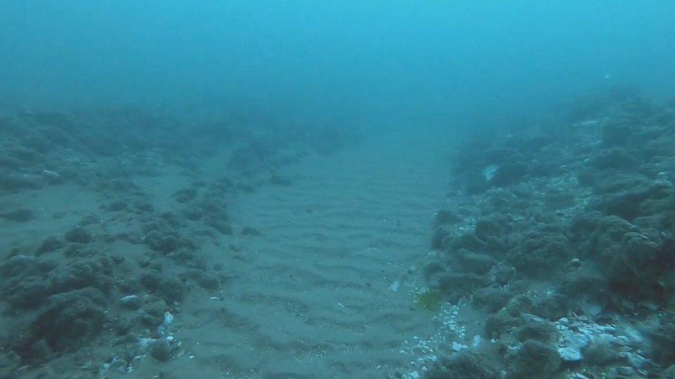 Underwater image off old Harry Rocks