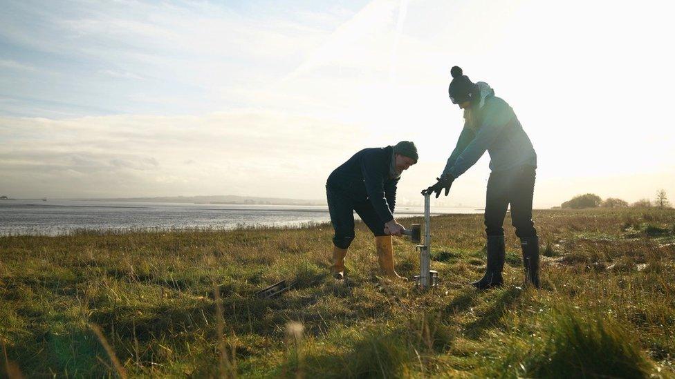 Researchers from the university of St Andrews studying salt marsh mud