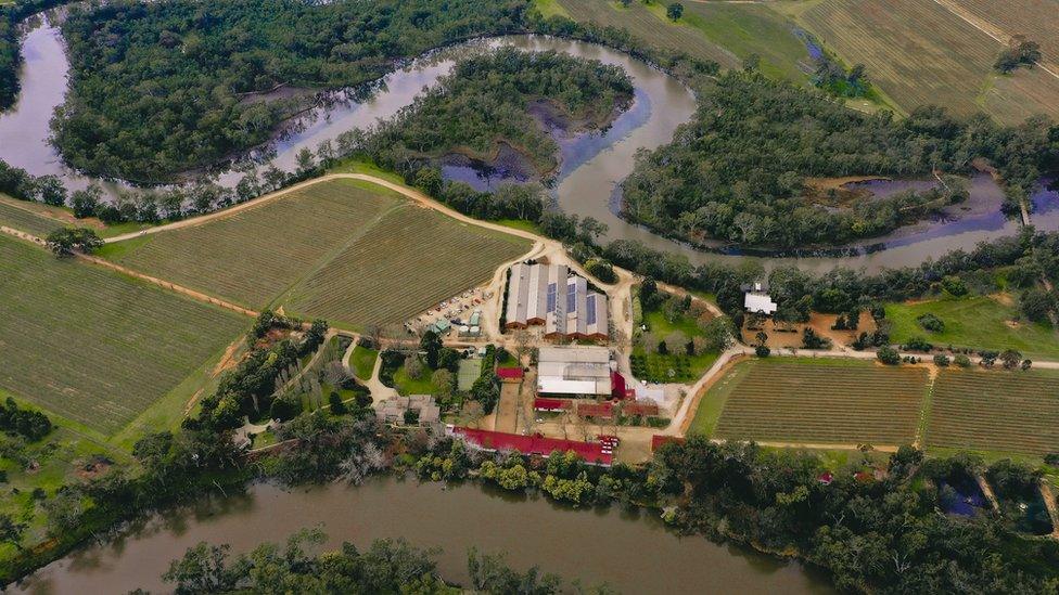 Aerial view of Tahbilk Winery