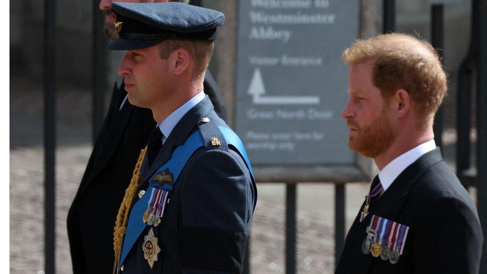 Prince William and Prince Harry, walking into the Queen's funeral.