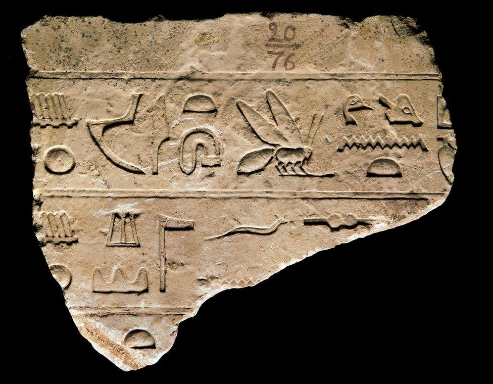 A fragment of Egyptian hieroglyphs, including a bee symbol