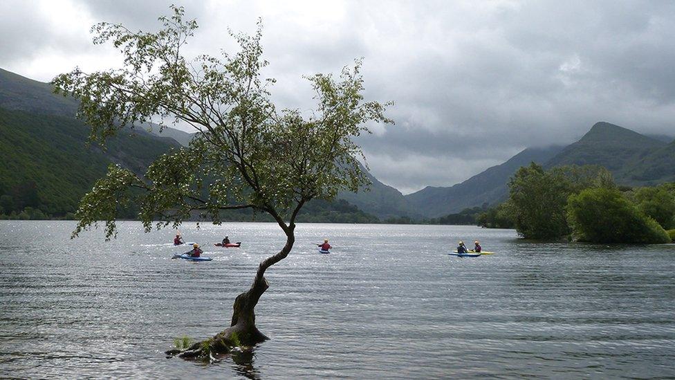 Canwio ar Lyn Padarn