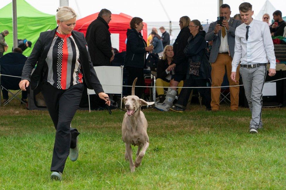 Woman showing dog