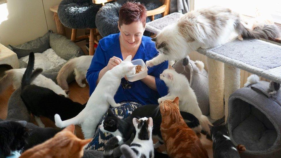 Zoe Willingham feeding her rescue cats