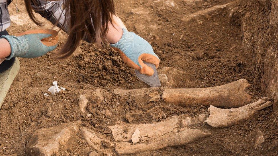 Grave under excavation