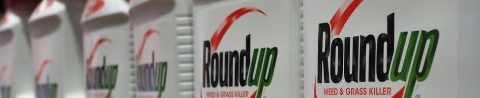 Bottles of Monsanto's Roundup are seen for sale June 19, 2018 at a retail store in Glendale, California