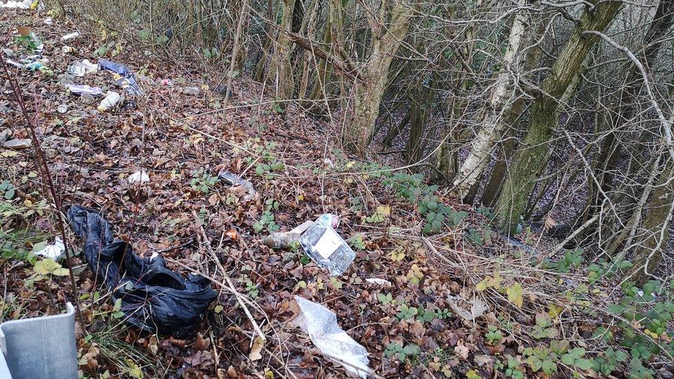 Litter on the side of a slip road in Cardiff