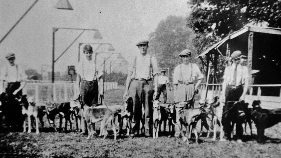 Greyhound's and racing trainers in Peterborough in the early days