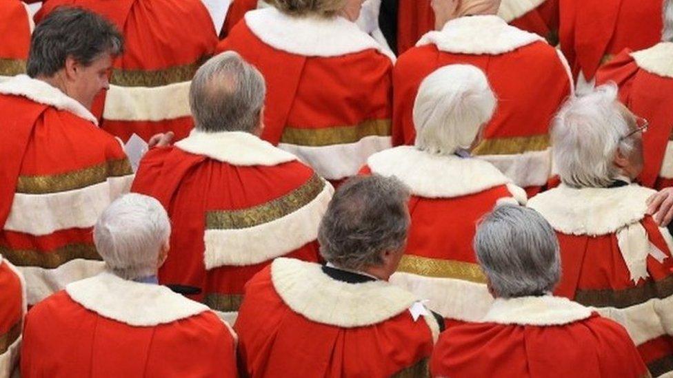 Peers at State Opening of Parliament