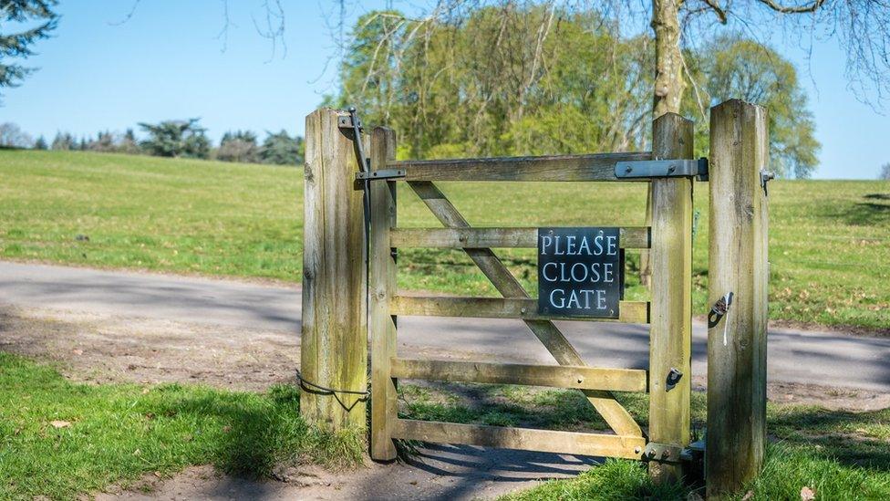 "Out and about in Blenheim grounds."