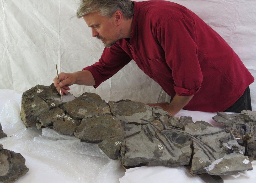 Palaeontologist Nigel Larkin and the fossil