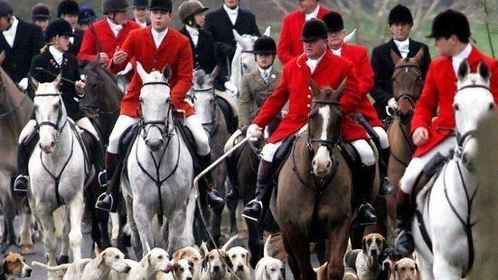 Fox hunting