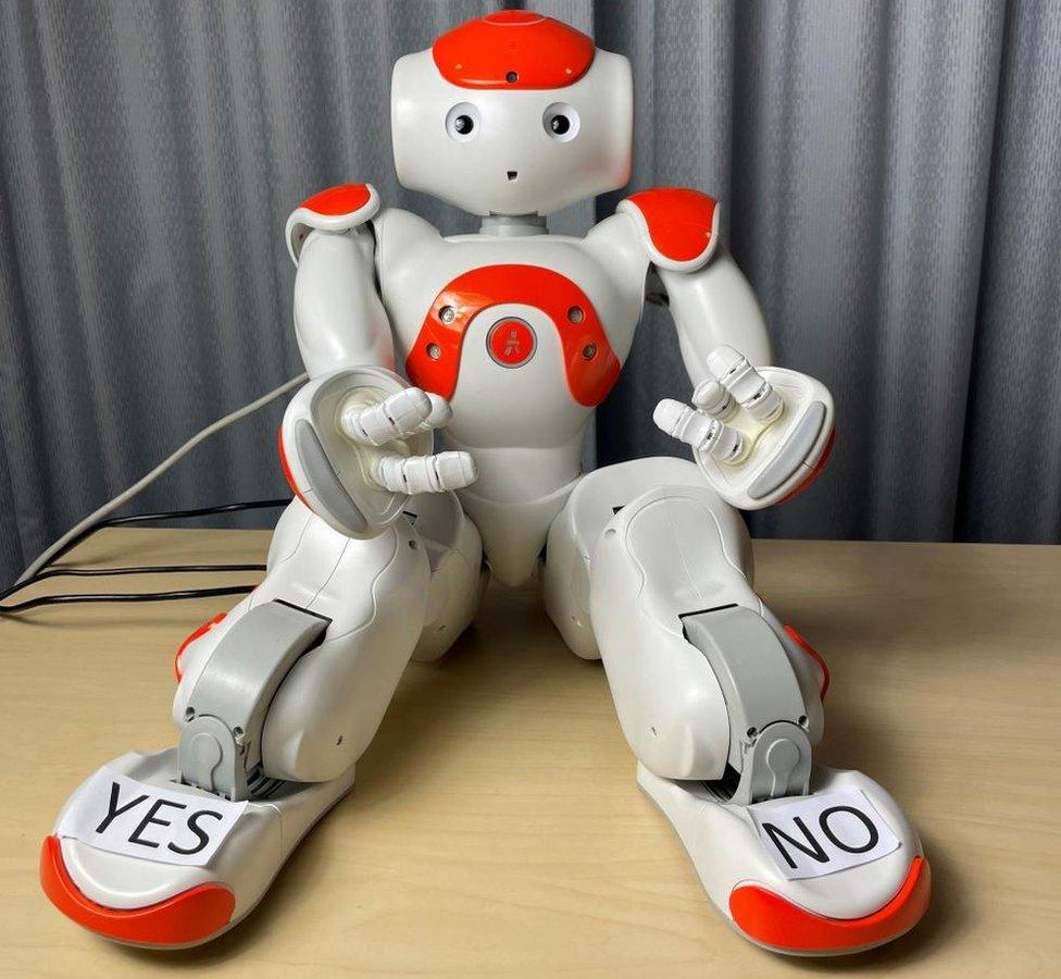 A Nao humanoid robot that is about 60cm tall