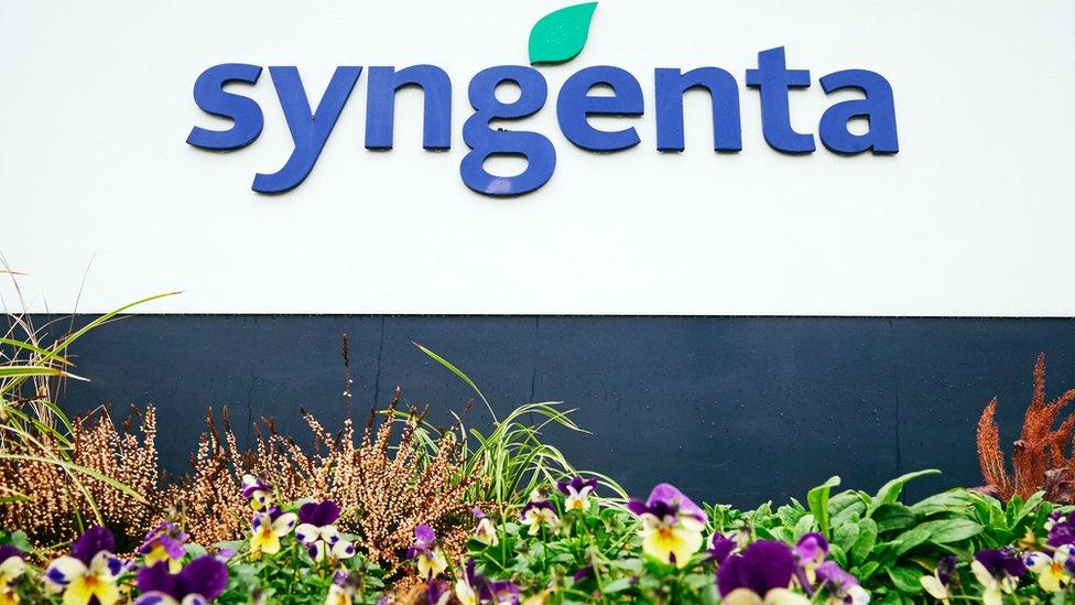 Syngenta logo in blue