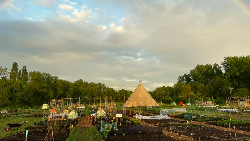 An allotment