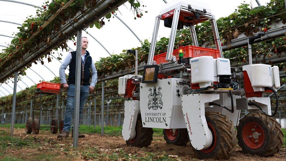 Multi-functional agri-robot, Thorvald