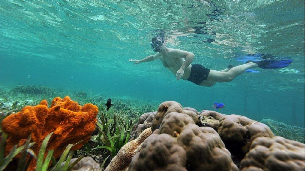 Scuba diver at Raja Ampat before the incident