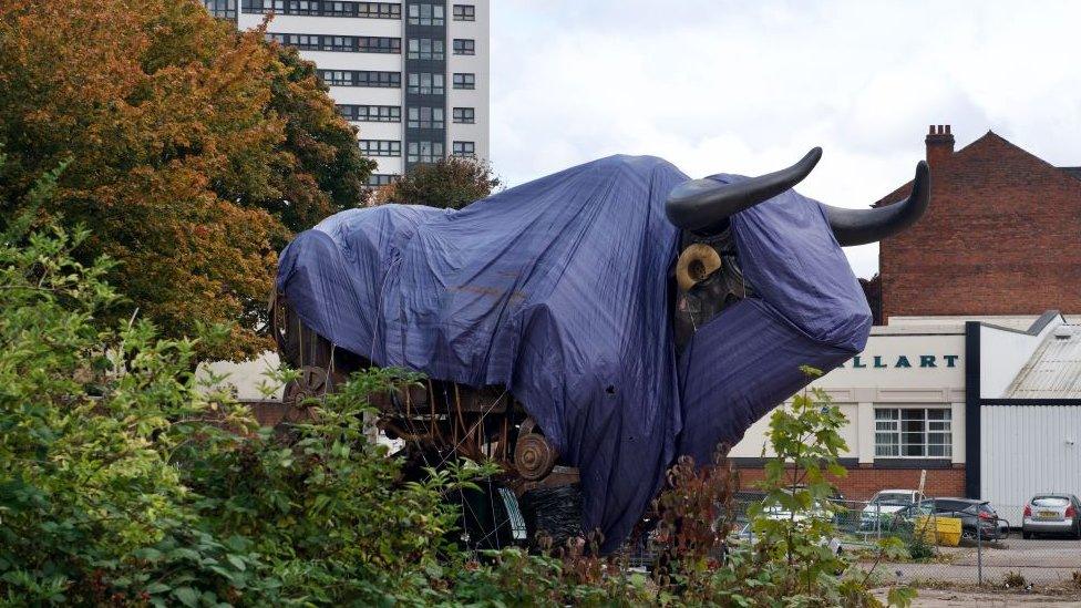 Bull in Birmingham car park