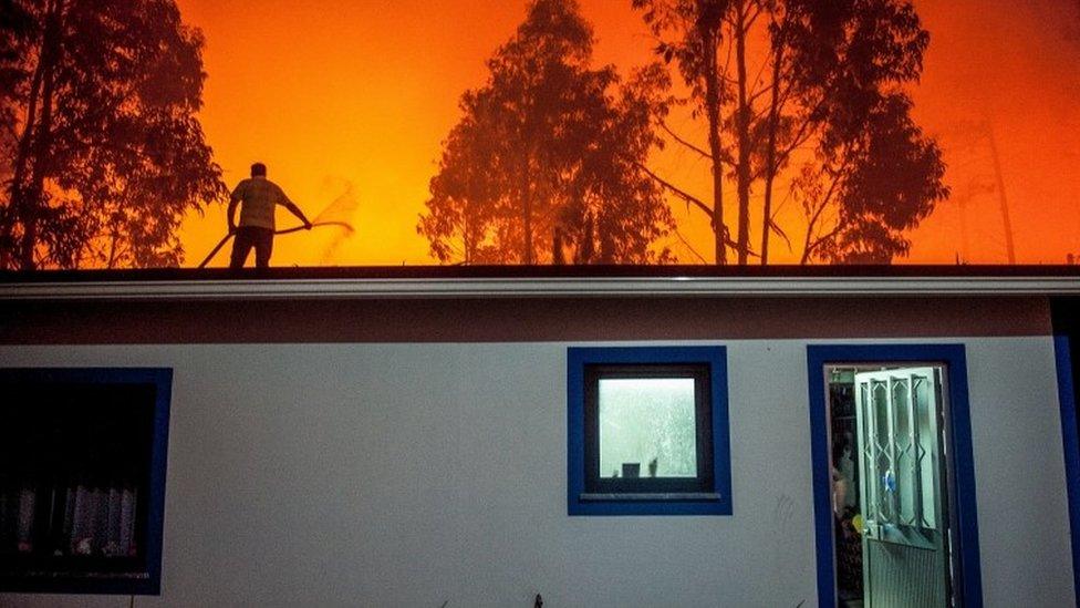 A man tries to fight a forest fire from the roof of his house in Vieira de Leiria, Marinha Grande, Portugal, 16/10/2017