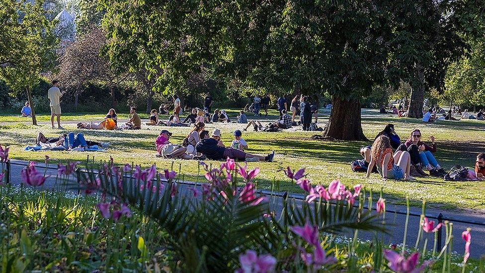 Park in summer