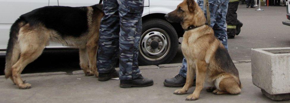 File pic of Russian police dogs