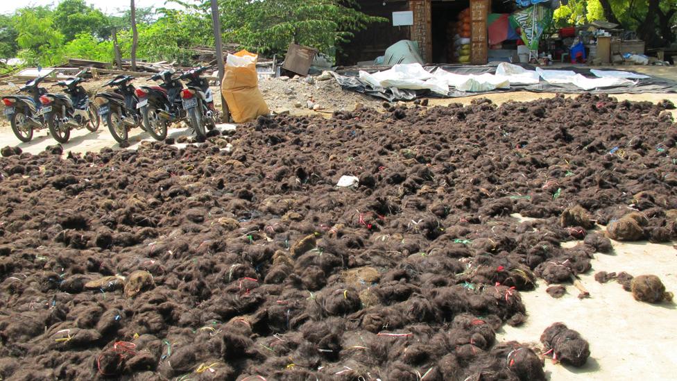 Piles of unsorted hair in Myanmar